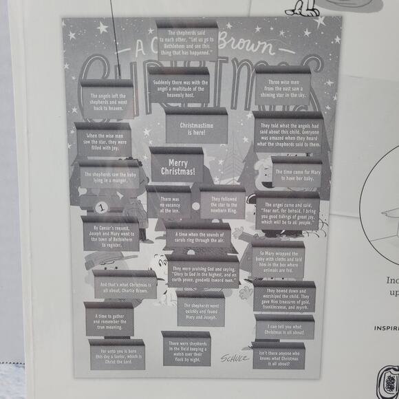 Hallmark Peanuts Charlie Brown Countdown to Christmas Advent Calendar - Picture 2 of 14